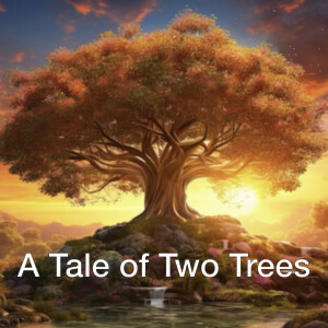 A Tale of Two Trees