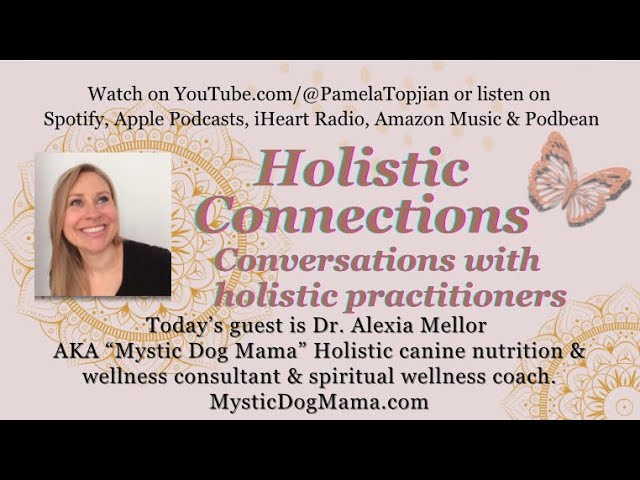 40. Holistic Connections w/ Guest Dr. Alexia Mellor ”Mystic Dog Mama” Canine Nutrition, TCM, & more!