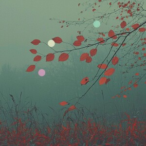 Golden Hour Leaves | Blustery Autumn Sounds for Deep Sleep