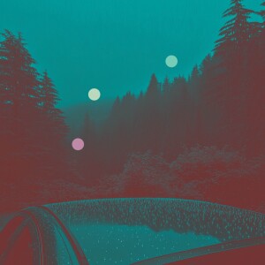 Rain on Car Roof | Cozy Night Rain in the Pacific Northwest