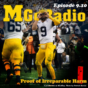 MGoRadio 9.10: Proof of Irreparable Harm