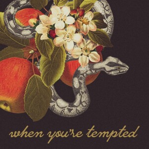 Three Keys to Every Temptation You Face - 2 | When You’re Tempted