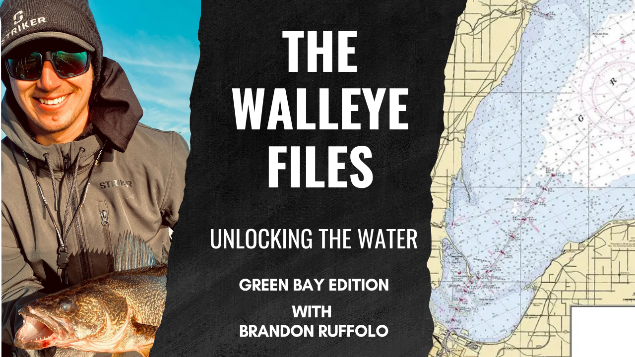 The walleye files Podcast