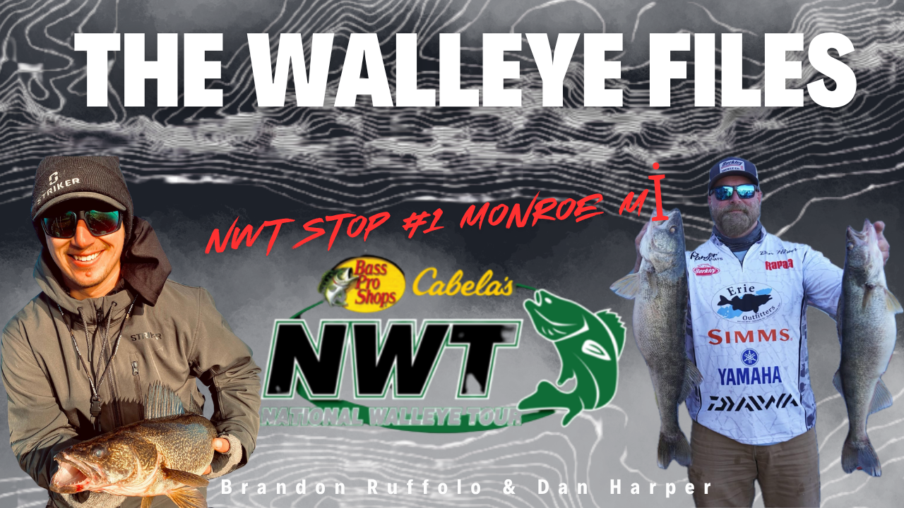 The walleye files Podcast