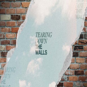 Tearing Down the Walls Part 1 - The Sledgehammer