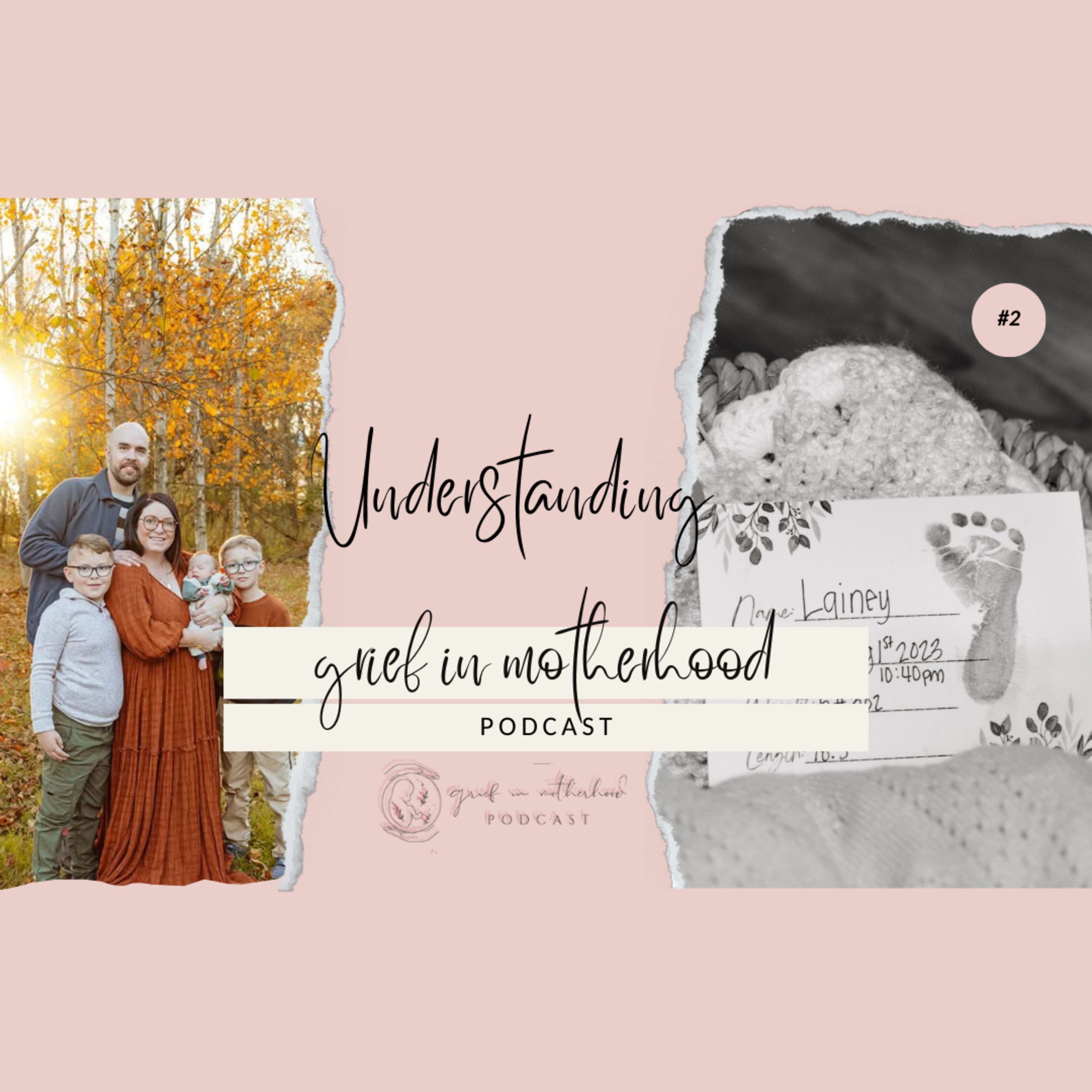 Episode 2. Understanding Grief in Motherhood episode artwork