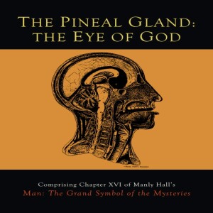 The Pineal Gland: The Eye of God (with music)
