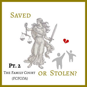 Pt 2 - The Family Court of Australia