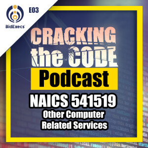 NAICS 541519 Other Computer Related Services – Cracking the Code Podcast Ep 3