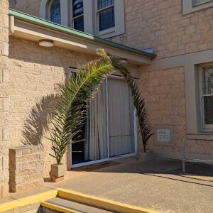 Palm Sunday 2025