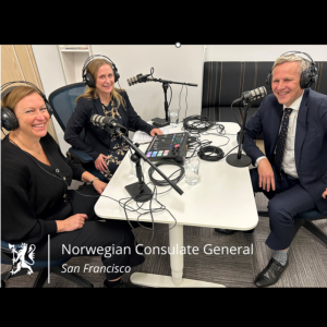 Gerard de Graaf: EU’s new Digital Package and impact on Big Tech companies