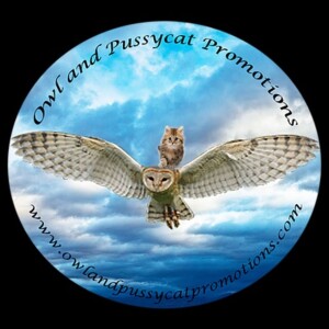 Meet The Authors of DLG Publishing - Host Marsha Casper Cook -Michigan Ave Media