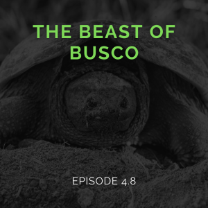 Episode 4.8: The Beast of Busco