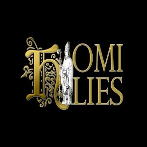 Today’s homily: St John before the Latin Gate (2025)