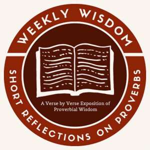 #48 - Proverbs 11:16