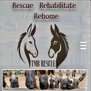 TMR Rescue