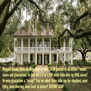 EP 27: Bliggers Keep Bliggering: The new plantation/slave ownership lies and how the BKKK needs to finally GO AWAY