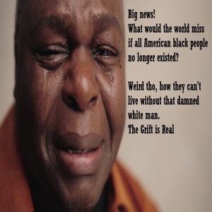 Breaking News! We discovered what the world would miss if all American blacks were wiped out. But dayum, they can't do shit without Whitey