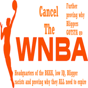 EP 26: WNBA provides more proof that BLIGGERS are our biggest racists today (and always have been) and why that league needs to GET THE F&&& out