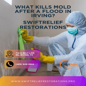 What kills mold after a flood in Irving?