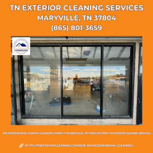 Are Professional Window Cleaners Worth It in Maryville, TN? Insights from TN Exterior Cleaning Services
