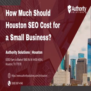 How Much Should Houston SEO Cost for a Small Business?