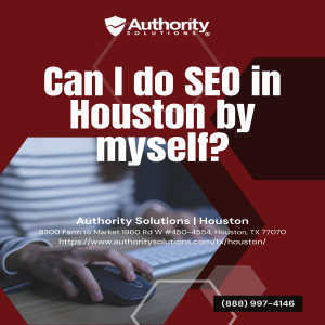 Can I Do SEO in Houston by Myself?