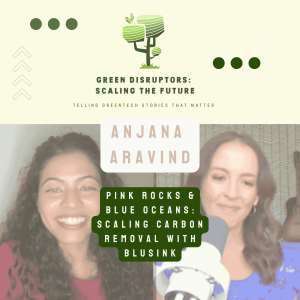 Pink Rocks & Blue Oceans: Scaling Carbon Removal with Blusink