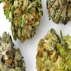 Halifax Cannabis Delivery