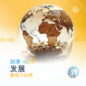 第5集 (政策制定者版). 《国际债务报告》