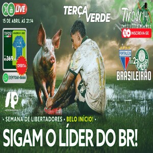 6 Vitórias Seguidas • Libertadores • Verdão Crescendo e mais