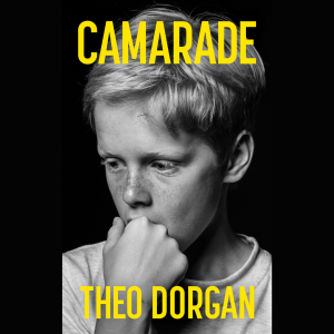 Theo Dorgan reads 'Camarade'