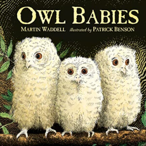 Owl Babies, by Martin Waddell & Patrick Benson