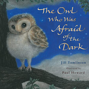 The Owl Who Was Afraid Of The Dark - long version