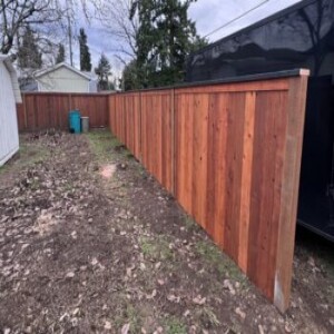 Fence Maintenance 101: Tips to Keep Your Fence Looking Great Year-Round