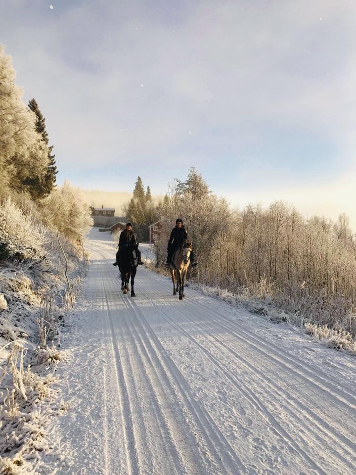 Livet i Åre