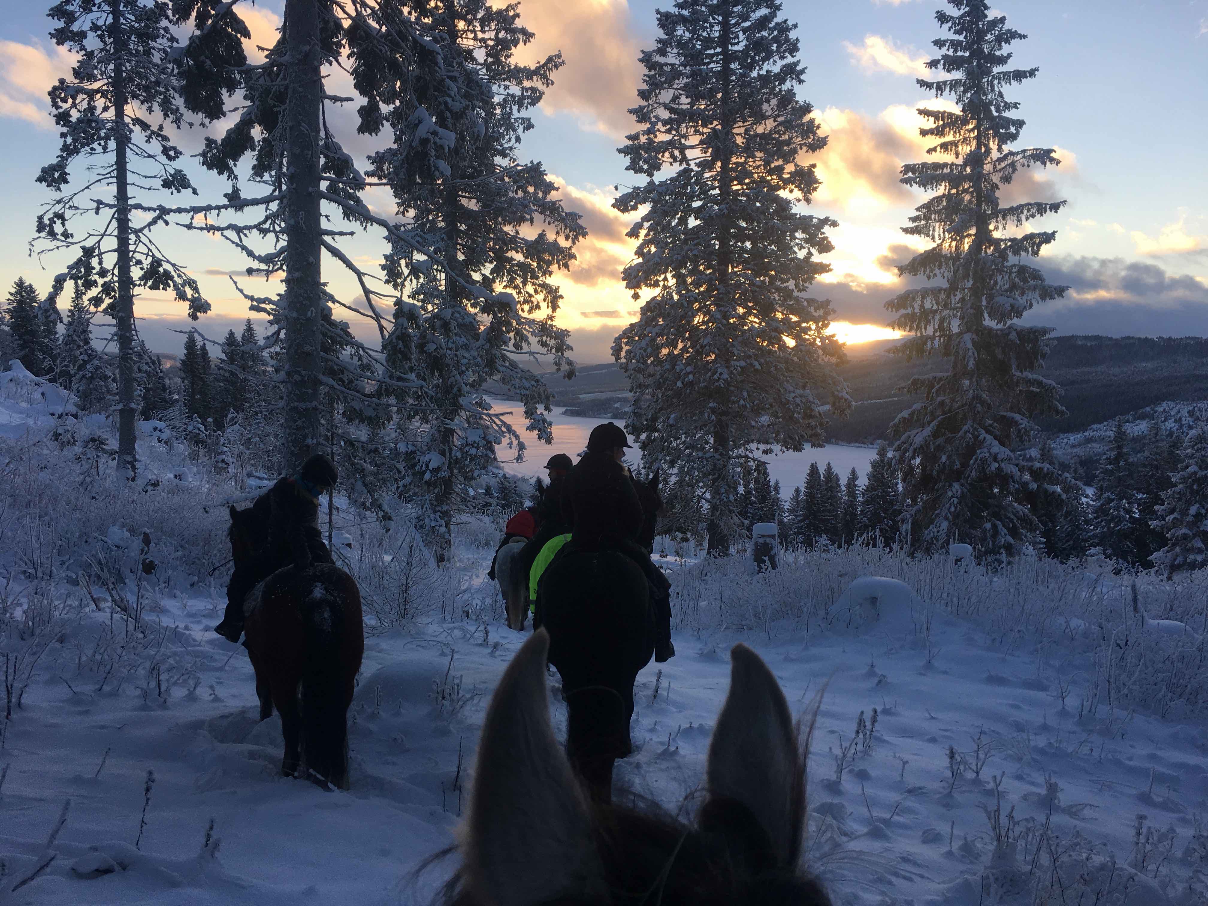 Livet i Åre