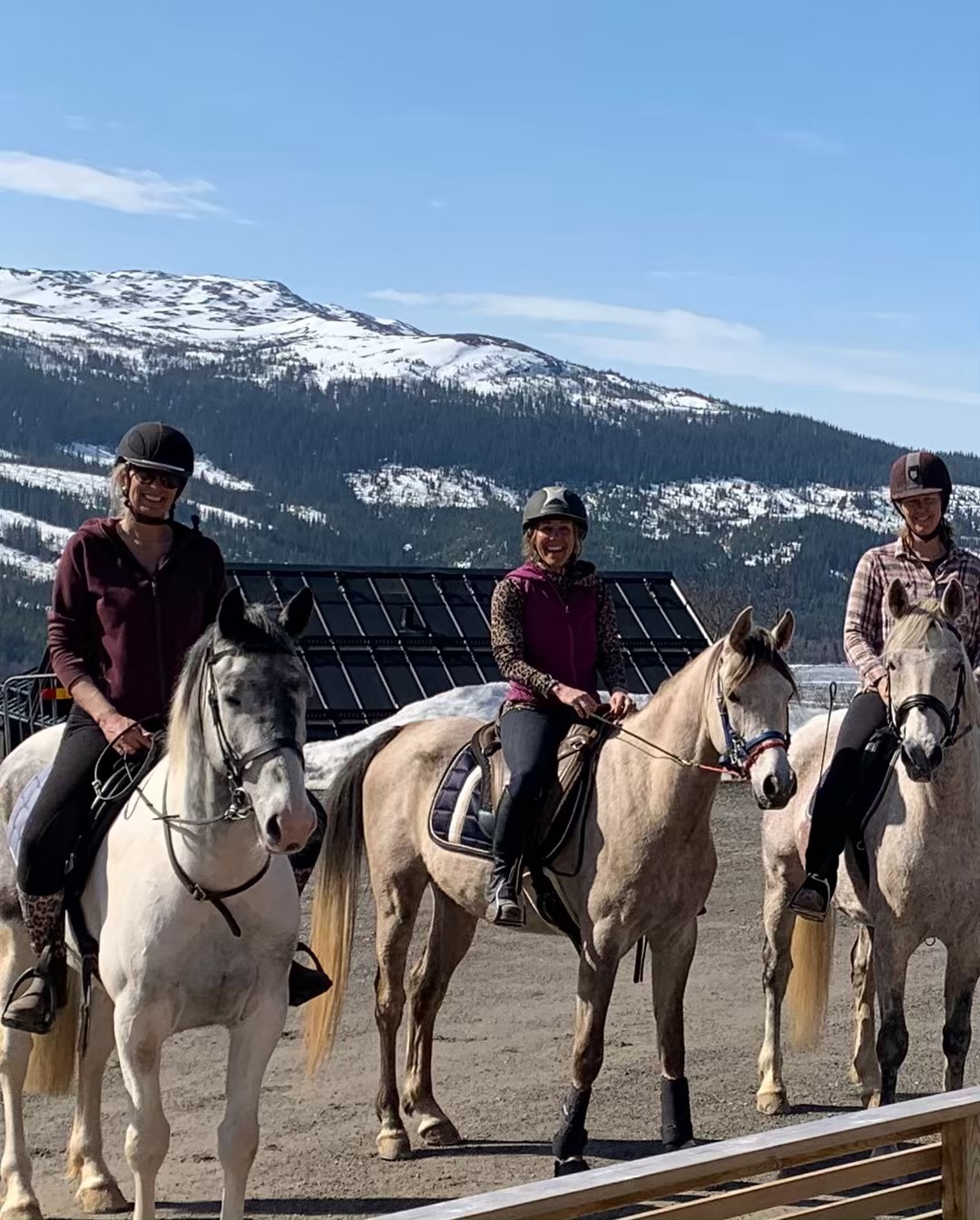 Livet i Åre