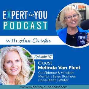 The Resilient Entrepreneur with Melinda Van Fleet