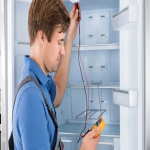Top Things You Need To Know About Fridge Repairs