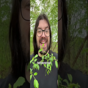 đș Monsters that lurk online