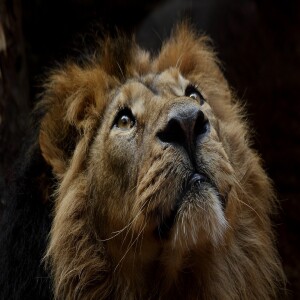 EP 124: You Are Greatly Loved: Daniel the Prophet
