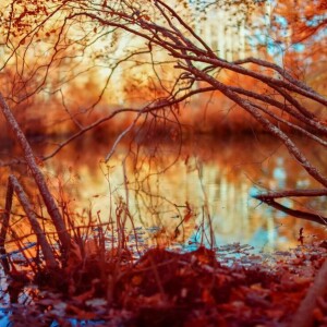 Teaching & Learning Creativity with professor/photographer Michael O’Neill