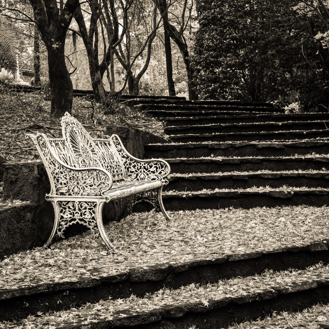 A Creative Affair