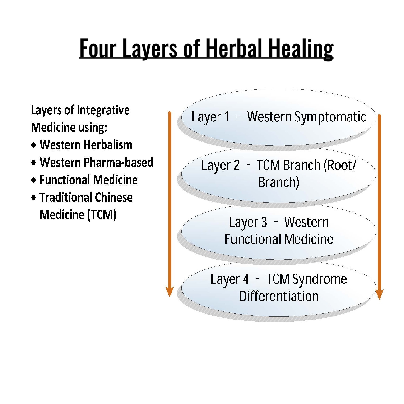 The Herbal Medic Deep Dive