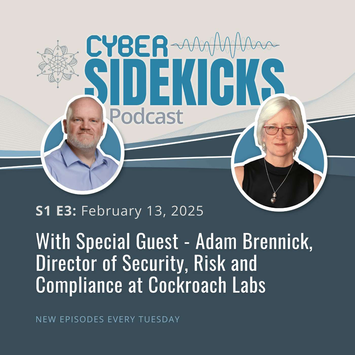 Cybersecurity News & Analysis by Cyber Sidekicks - Your Weekly Update’