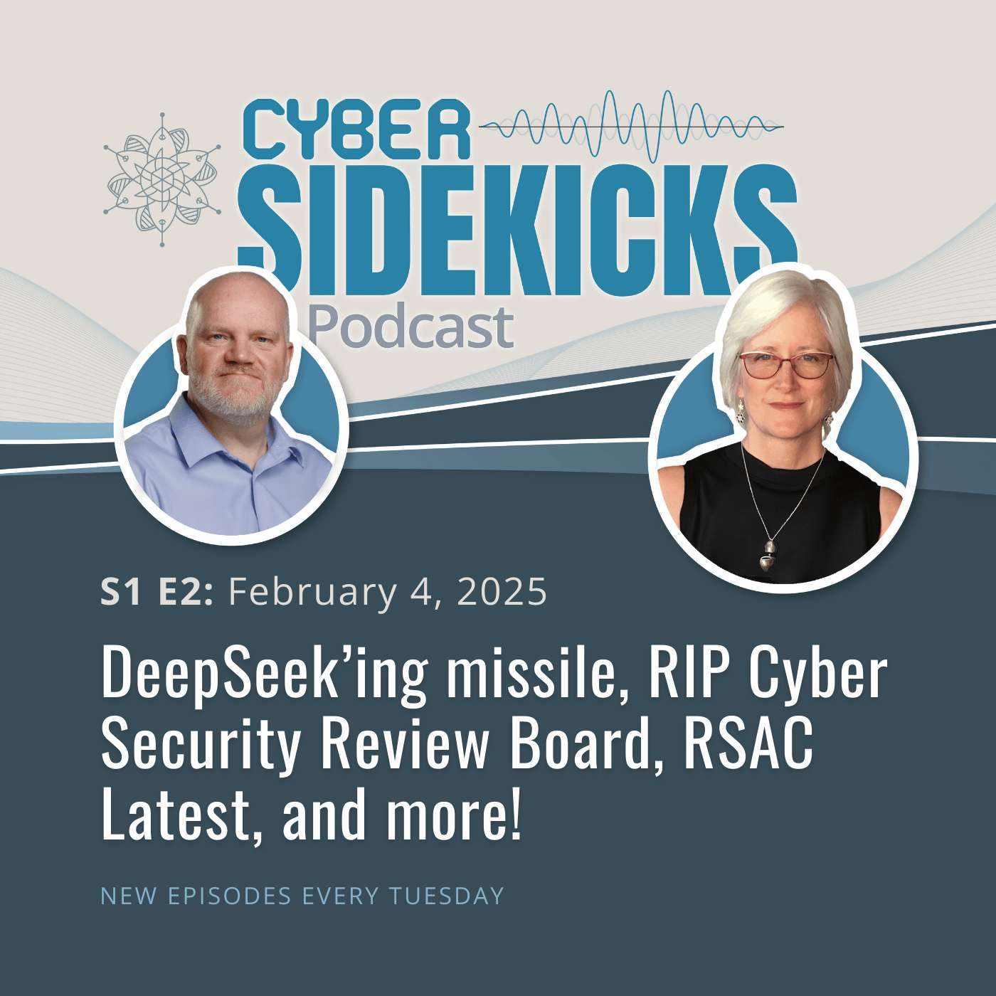 Cybersecurity News & Analysis by Cyber Sidekicks - Your Weekly Update’