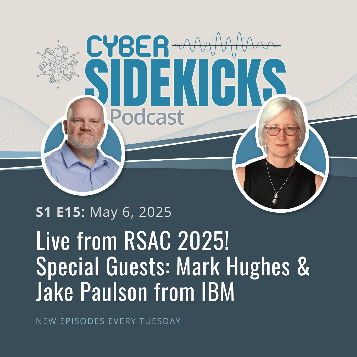Cyber Sidekicks