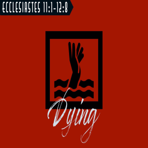 Ecclesiastes 9; DYING... under the sun (11:1-12:8)