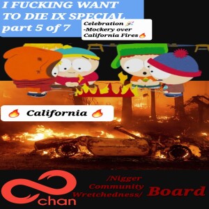 Celebration Mockery over California Wildfires
